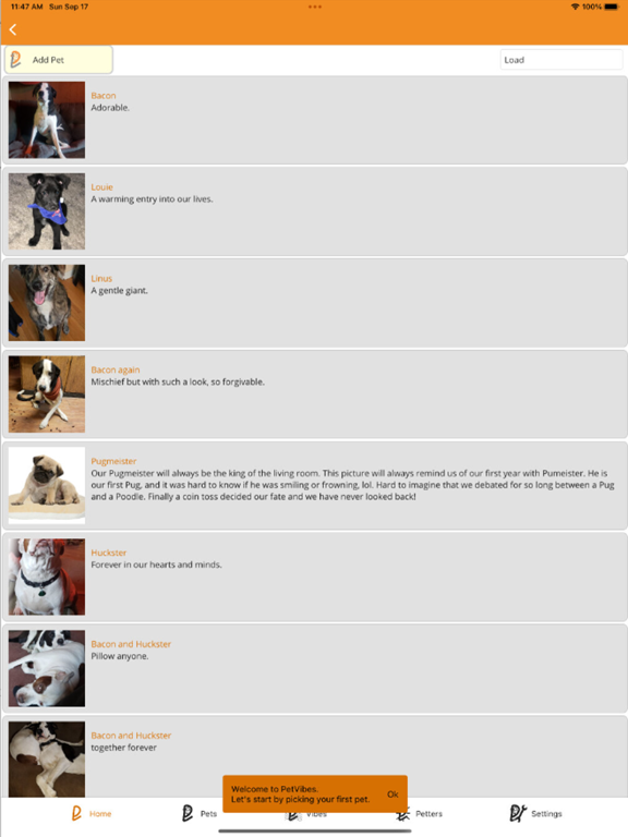 PetVibes - a pet for everyone