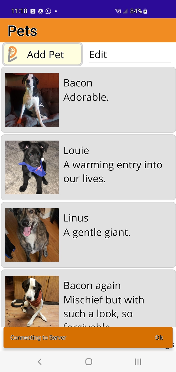 PetVibes - a pet for everyone