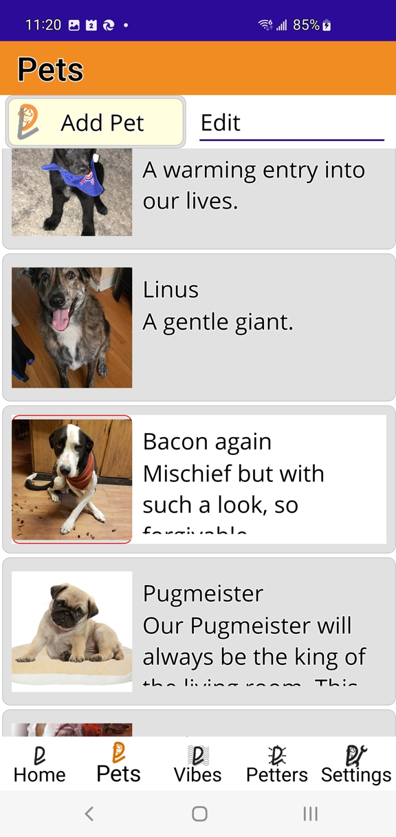 PetVibes - a pet for everyone