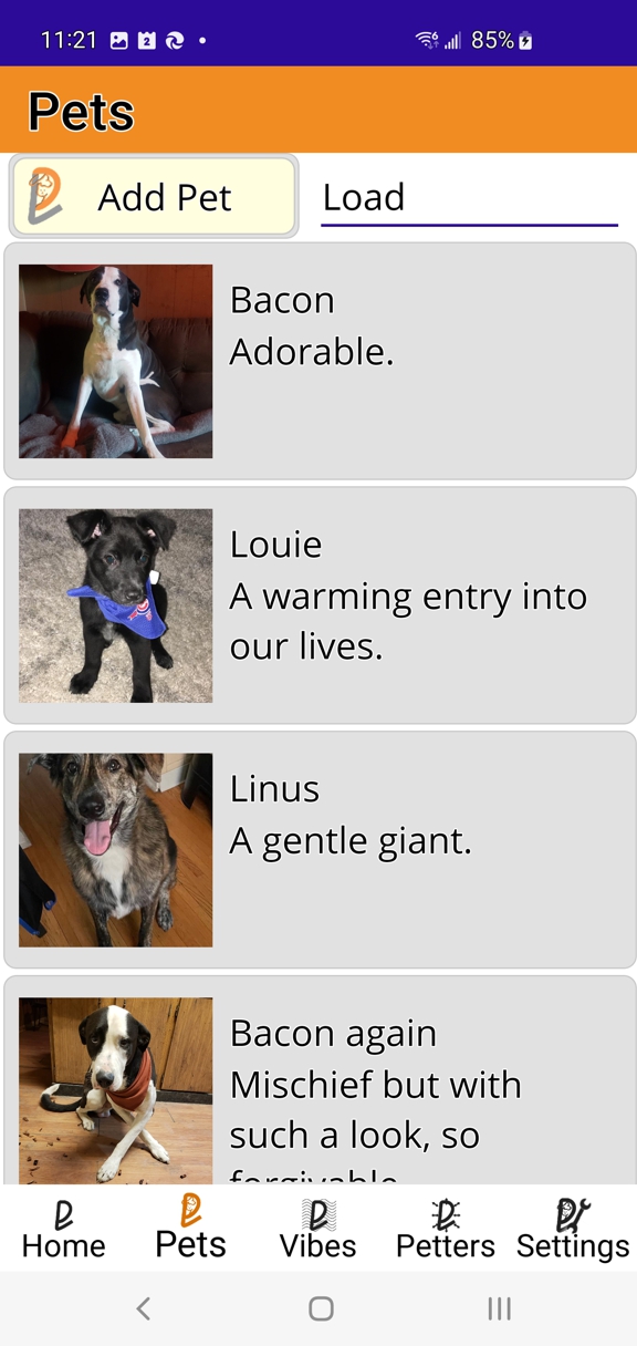 PetVibes - a pet for everyone